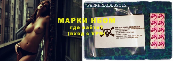 мдпв Иннополис