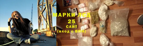 шишки Инсар