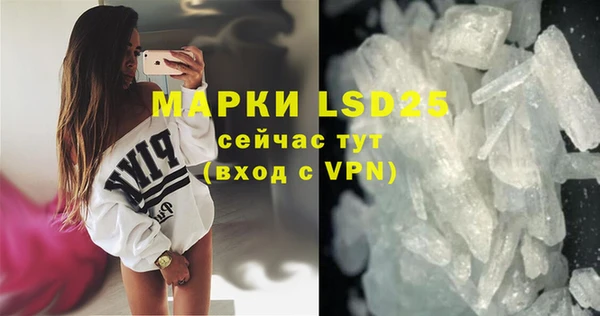 шишки Инсар