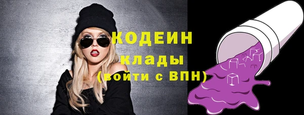 шишки Инсар