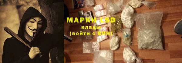 мяу мяу мука Покачи