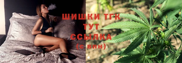 мяу мяу мука Покачи
