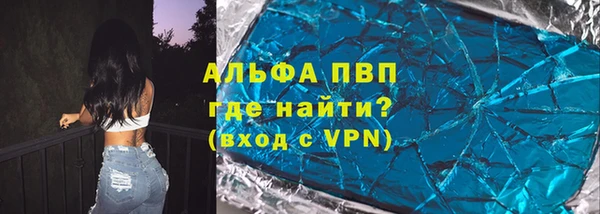 шишки Инсар