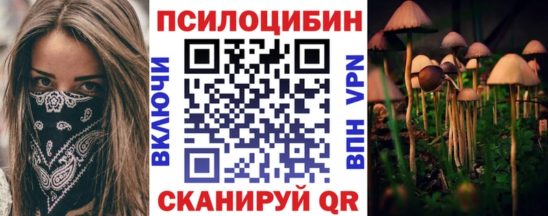 купить наркотик  Инза  Галлюциногенные грибы Magic Shrooms 